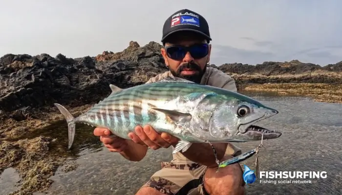 Sea fishing is an incredible experience, with countless species to target. You never know what you'll catch next.