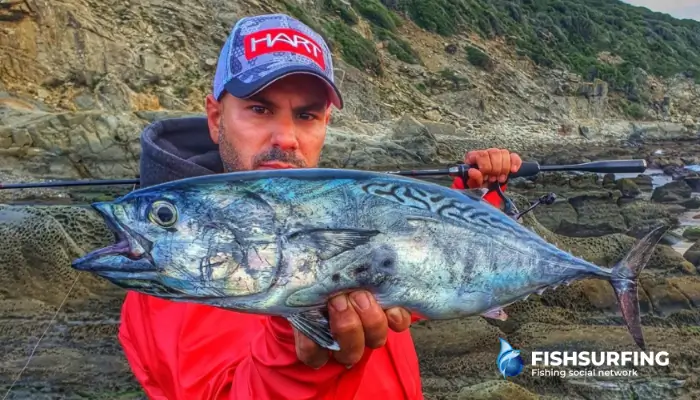 If you're new to sea fishing, start with pilkers. They're heavy, easy to fish at depth and highly effective.