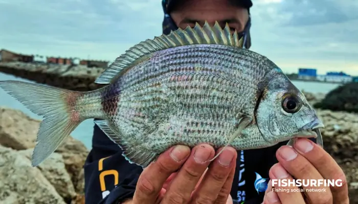 Smaller lures often tempt smaller, but no less impressive, fish.