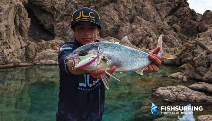 Soft plastic lures have also become a popular choice in sea fishing.