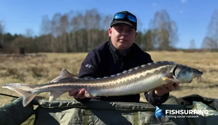 Look for areas where fish naturally find food.