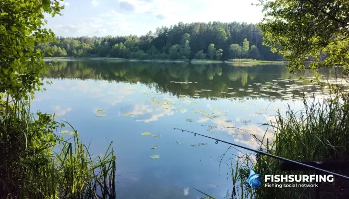 This technique requires precision - you need to cast to the same spot and at the same distance every time. By doing so, you create a concentrated feeding area that attracts and holds fish in one location.