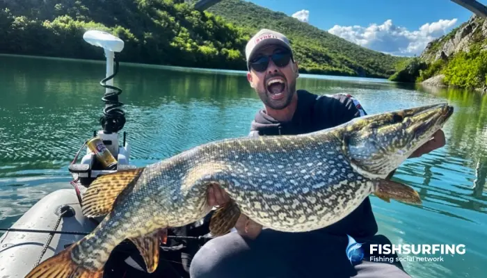 How to Spot a Dull Hook and Why It's Causing You to Lose Fish