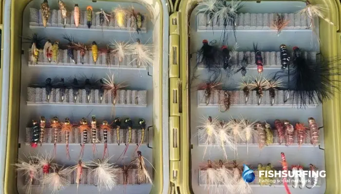 A well-stocked fly box is essential - it allows you to target a wide variety of fish species.
