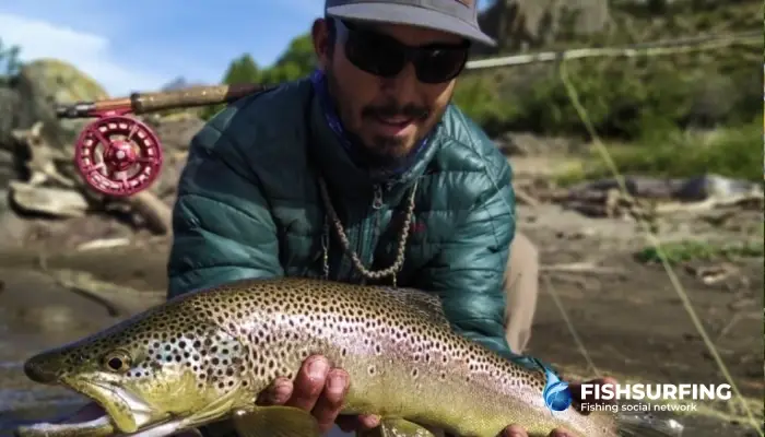 It's worth having flies in a variety of colors, from neutral patterns to more vibrant ones.