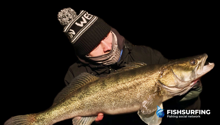 Zander can bite very delicately, so watch your line carefully as the lure sinks.
