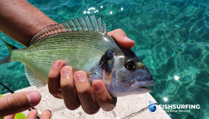 You can also successfully fish using a float setup.