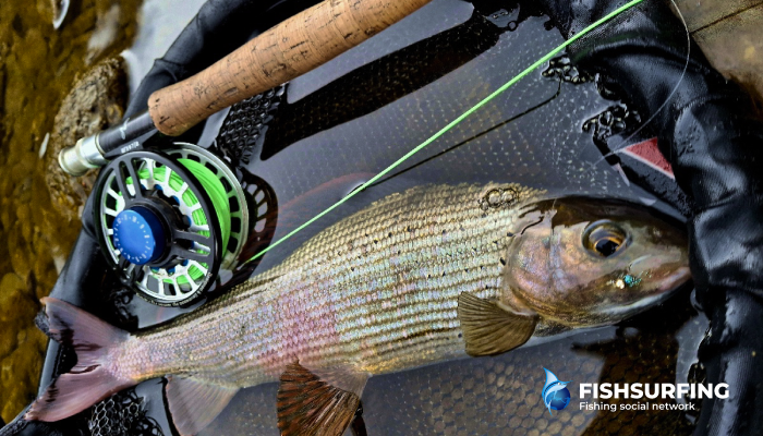 Remember to check for protected areas and local fishing restrictions.