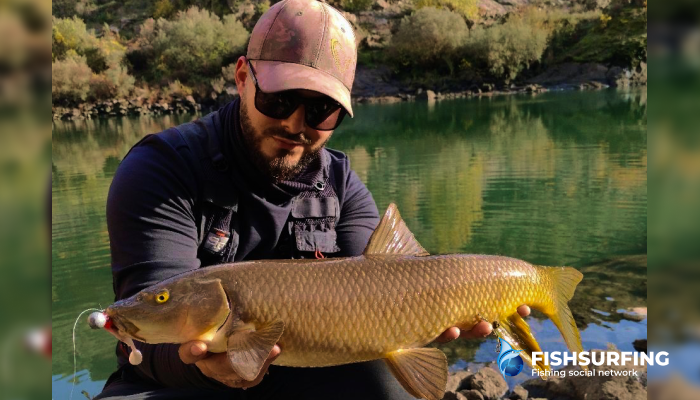 Barbel can be incredibly powerful during the fight.