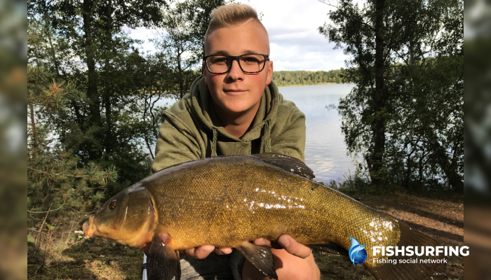 Tench also love cooked corn.