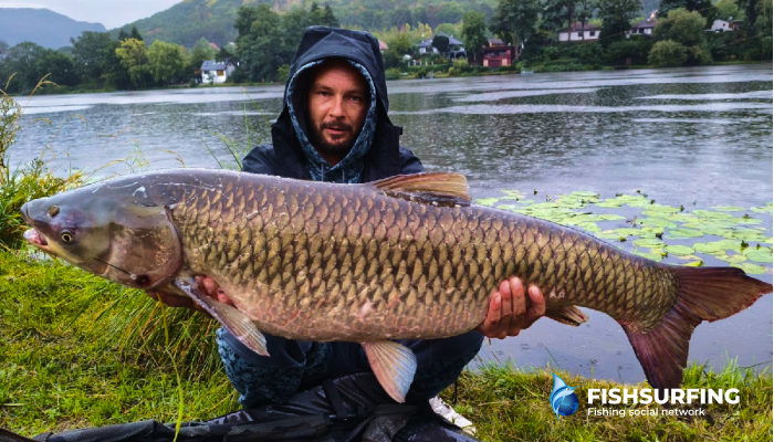 How to Catch Grass Carp, Where to Find Them, What to Feed Them, and What Bites