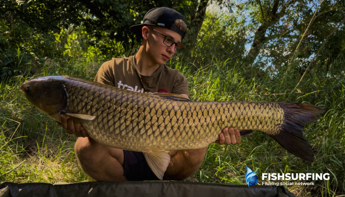 Grass carp can often be spotted basking just beneath the surface of the water.