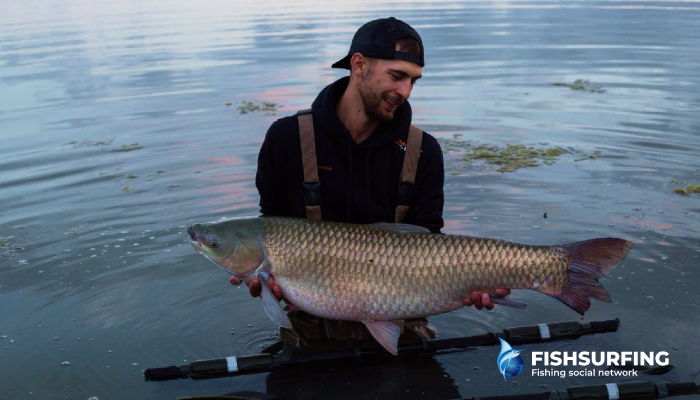 It is important to stay calm and composed right until the very end - grass carp can make sudden, powerful runs when being landed.