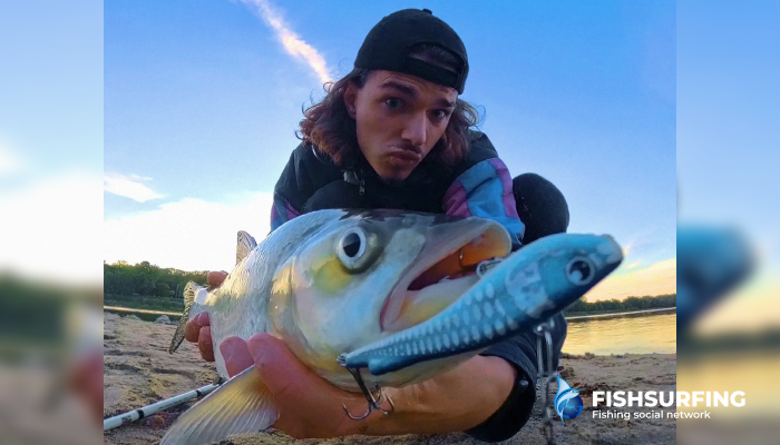 Os crankbaits s&atilde;o iscas muito eficazes.