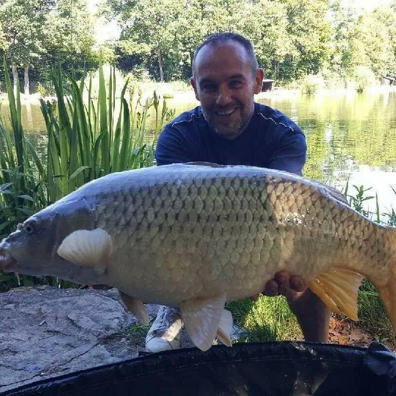 mes derniers poissons