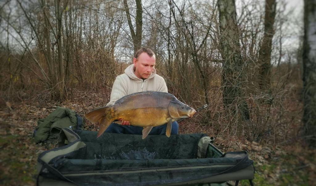 karpie z zimnej wody