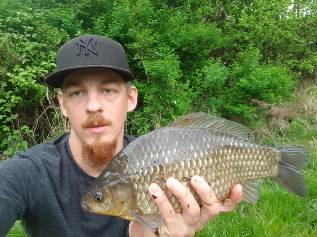 Wieczorny rekonesans