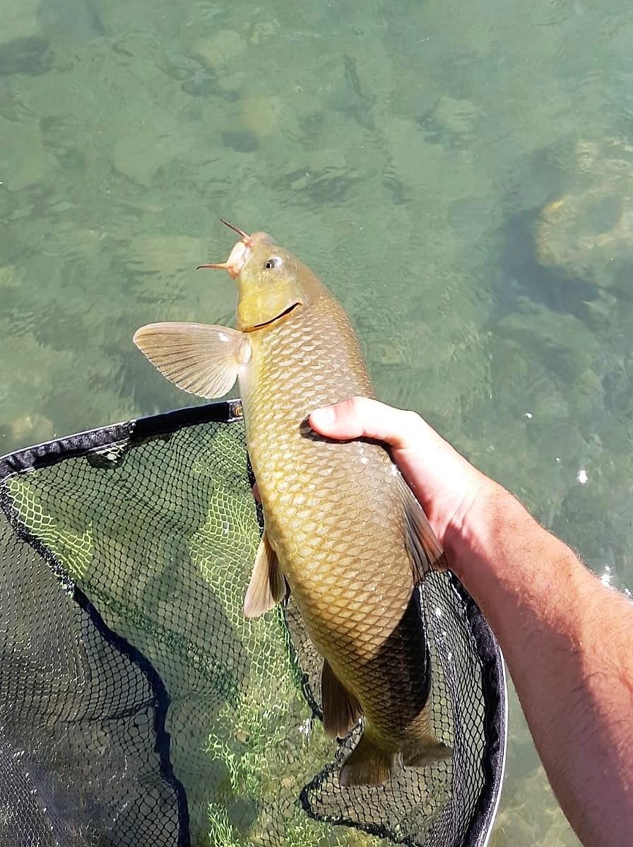 EL PODER DE LOS BIGOTES