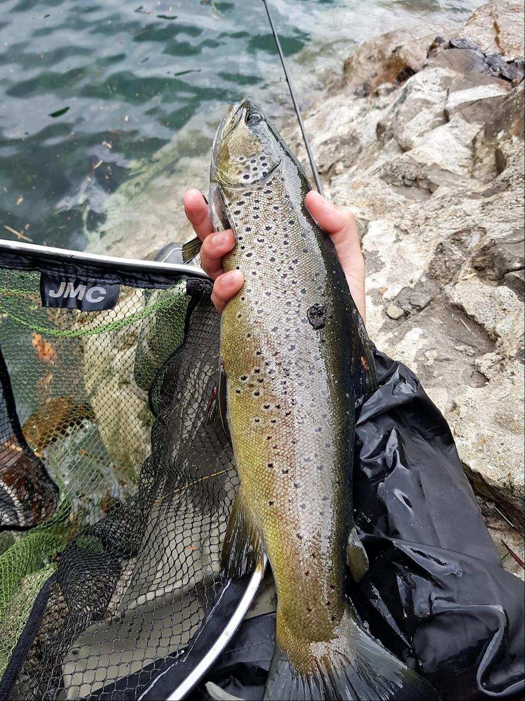 LAS GRANDES - 14/06/2020