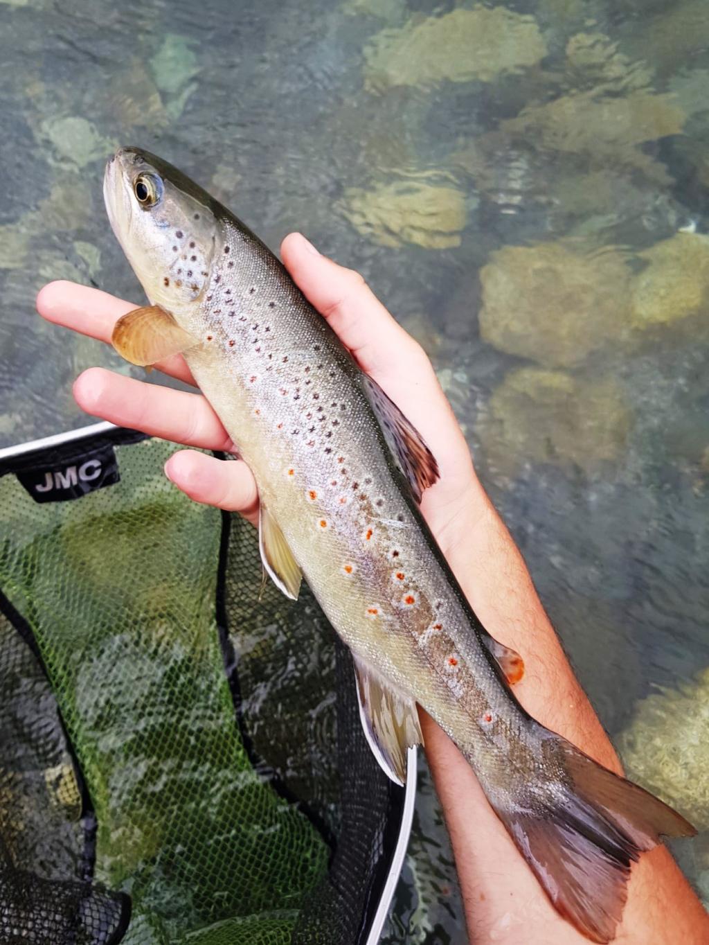 GOZANDO A SECA - 20/06/2020