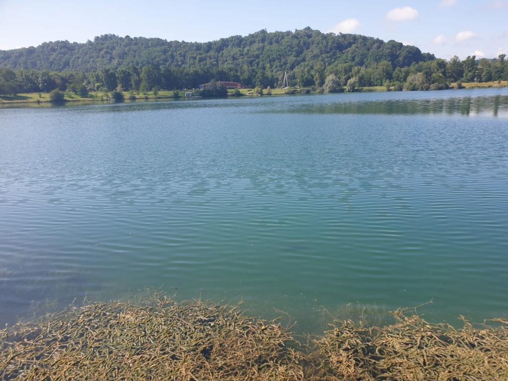 Un leviatan francés