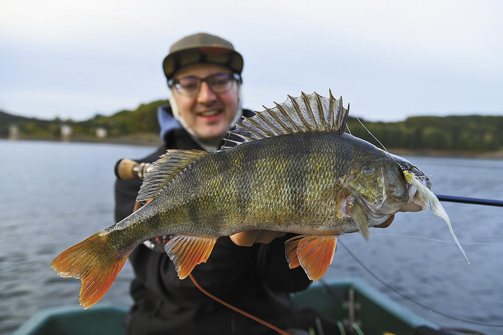 OKOUNÍ DUEL / přívlač versus moucha