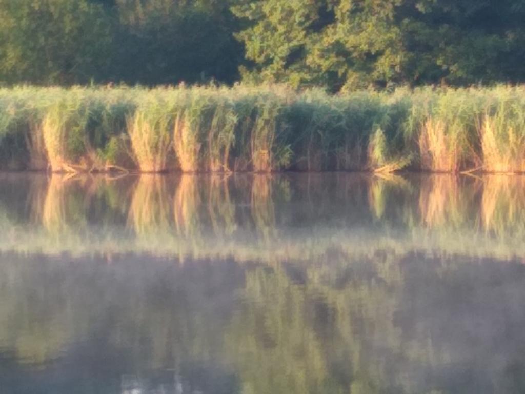 powrót do wędkarstwa