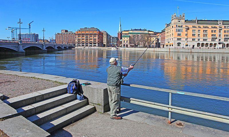Urban fishing: Stockholm adventure 