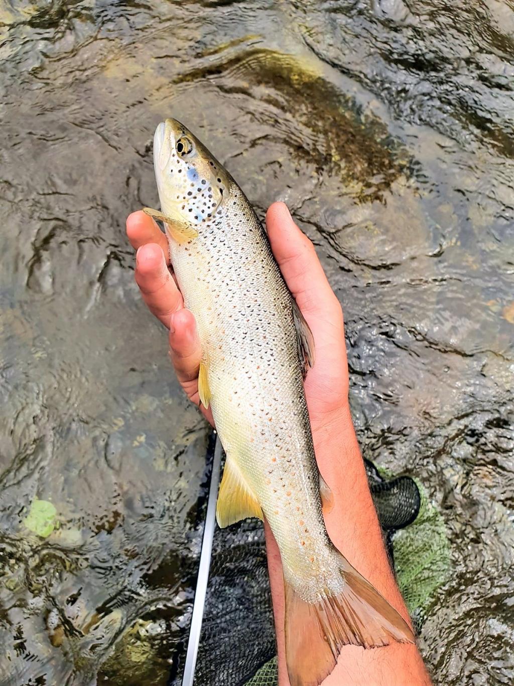 SIEMPRE APRENDIENDO 28/08/2020