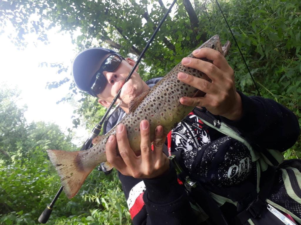 Pstrag 
Porada i pomoc