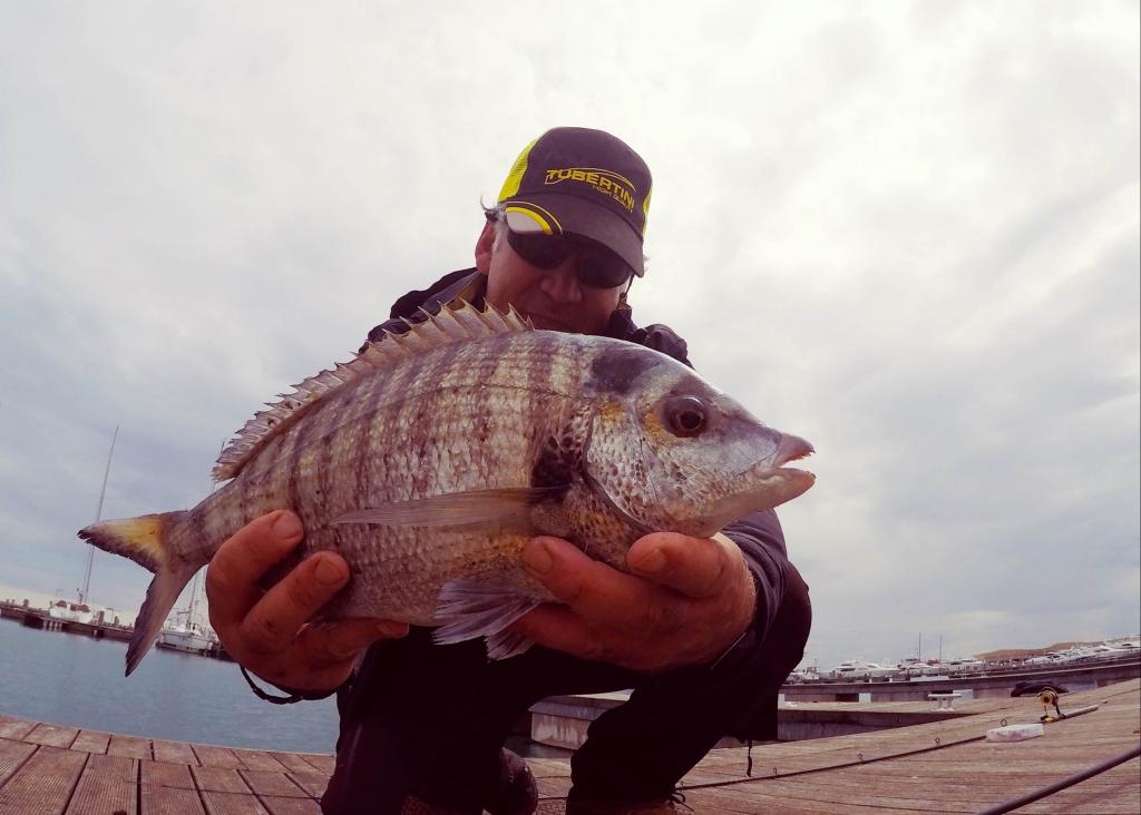 Sarago Pizzuto con la cozza