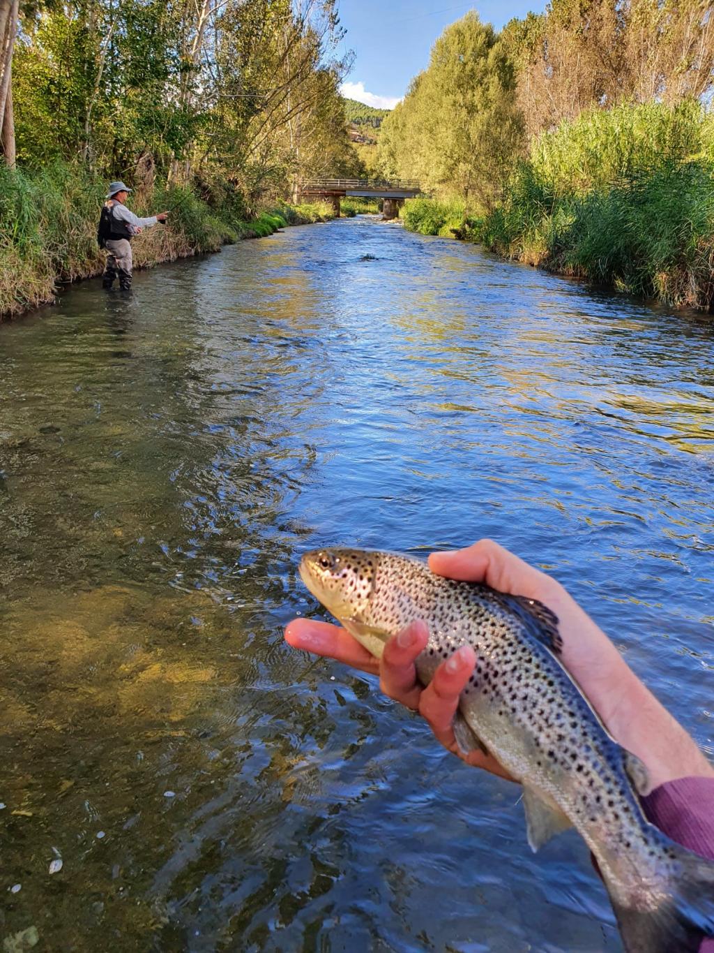 UN TRAMO DE INFARTO 05/10/2020