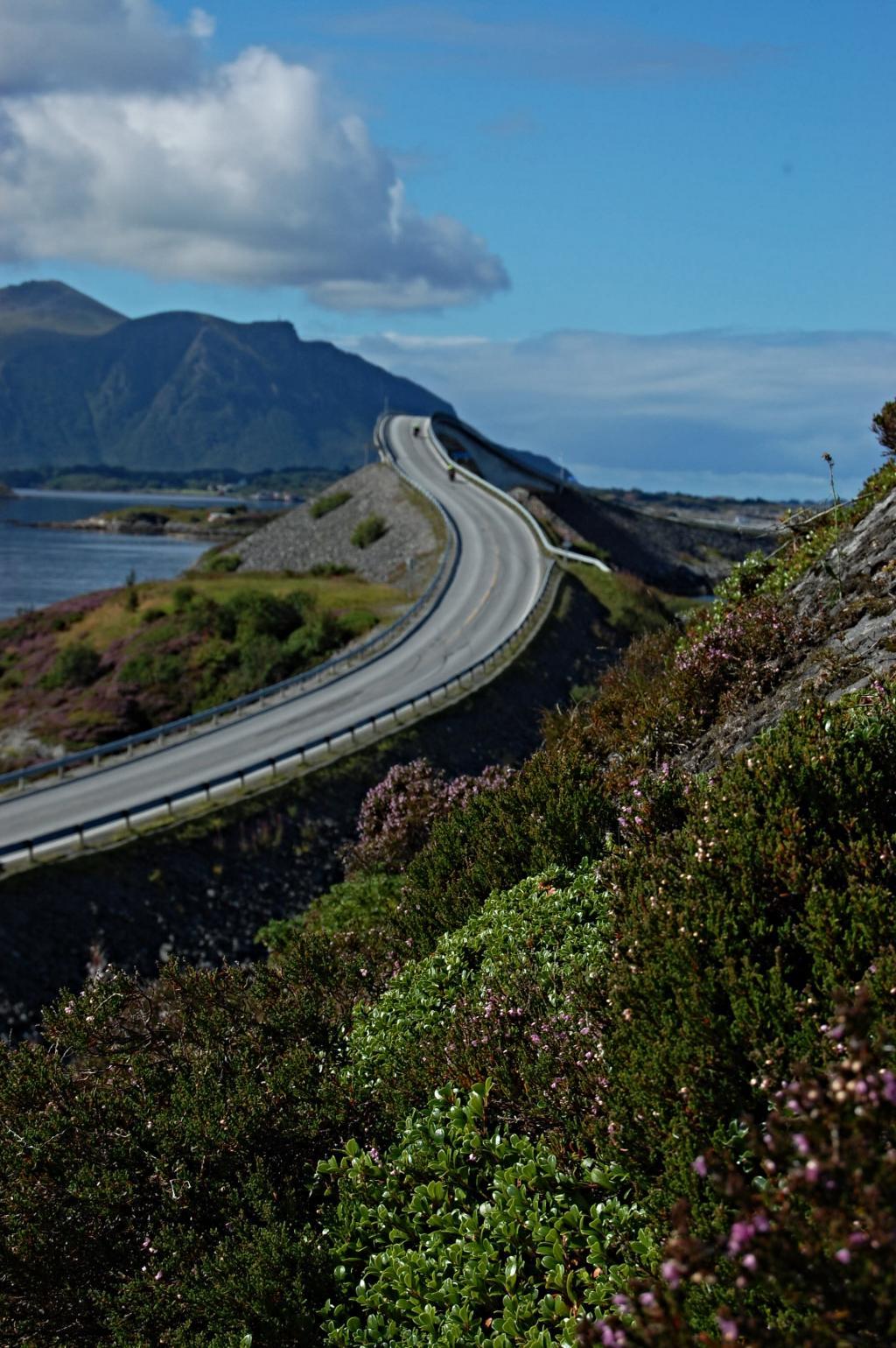 Cestou necestou za sny - START!