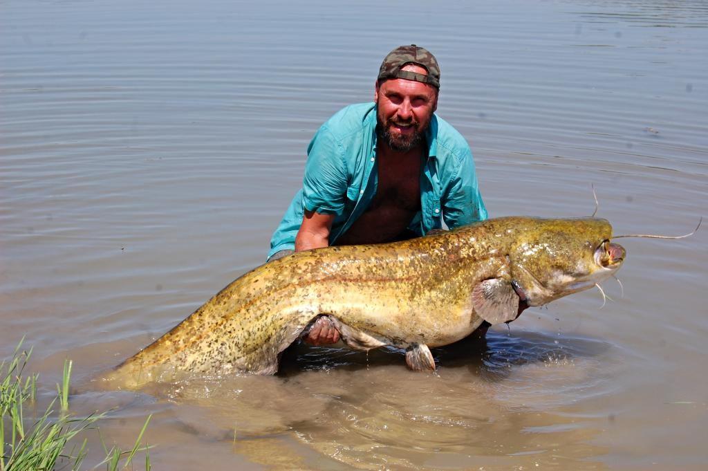 Hi to all! So where to the catfish?