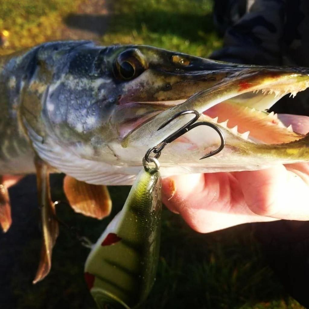 Fishing with lures: a complete guide for beginners 