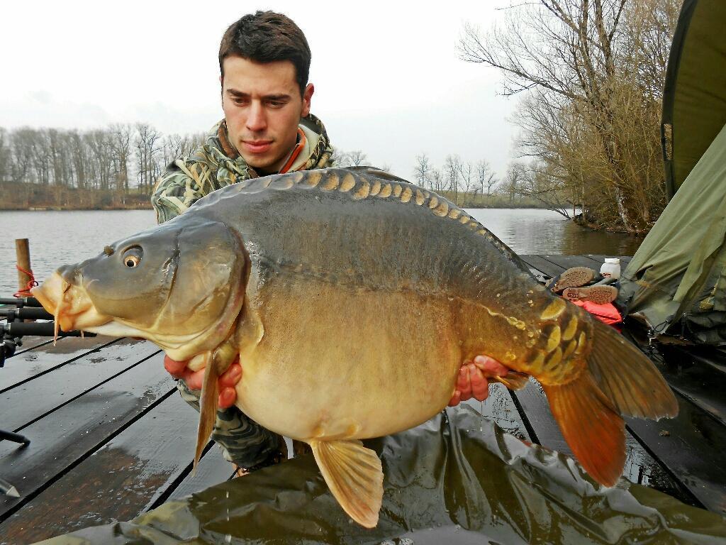 How does weather affect fish activity? - Fishsurfing