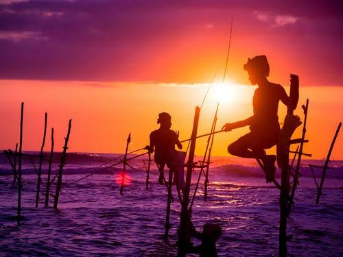 stilt fishing in srilanka 