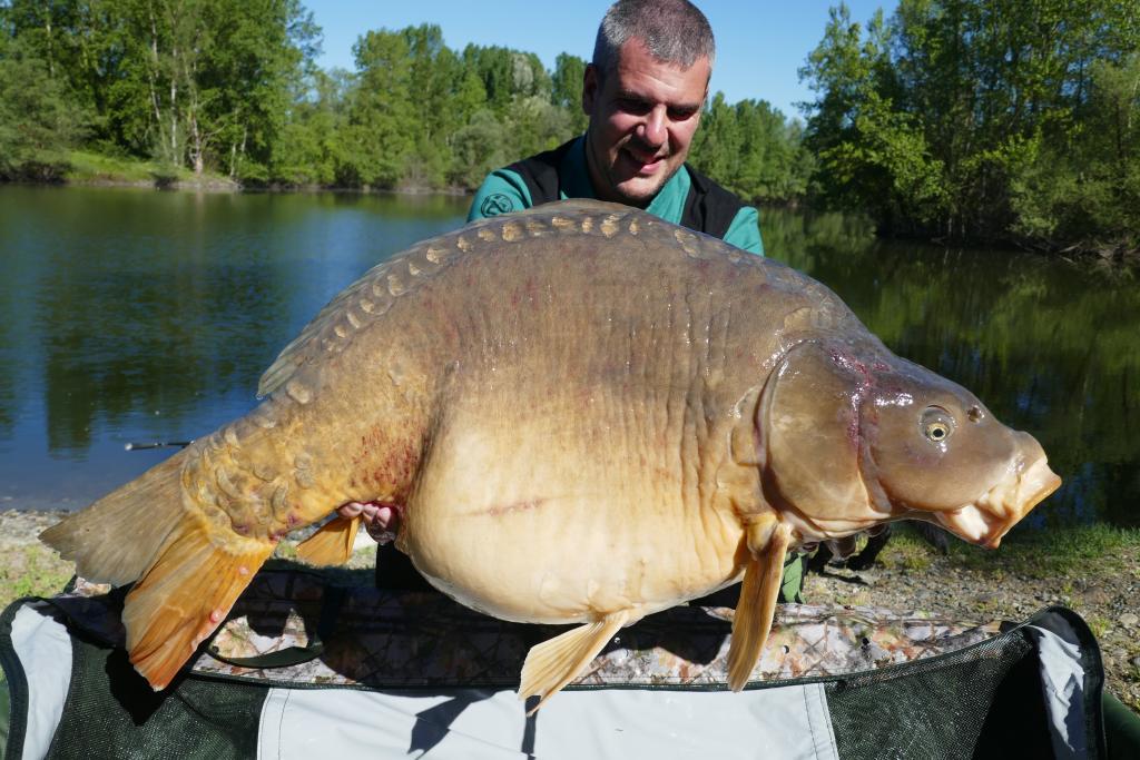 Grandes peces con el  carpfishing