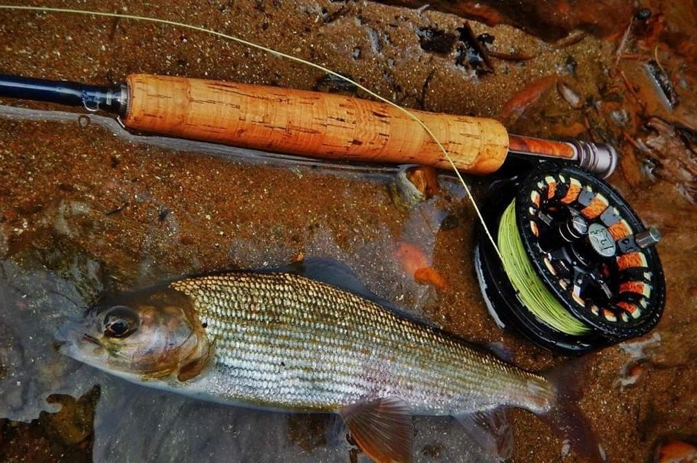 Transylvania beautiful