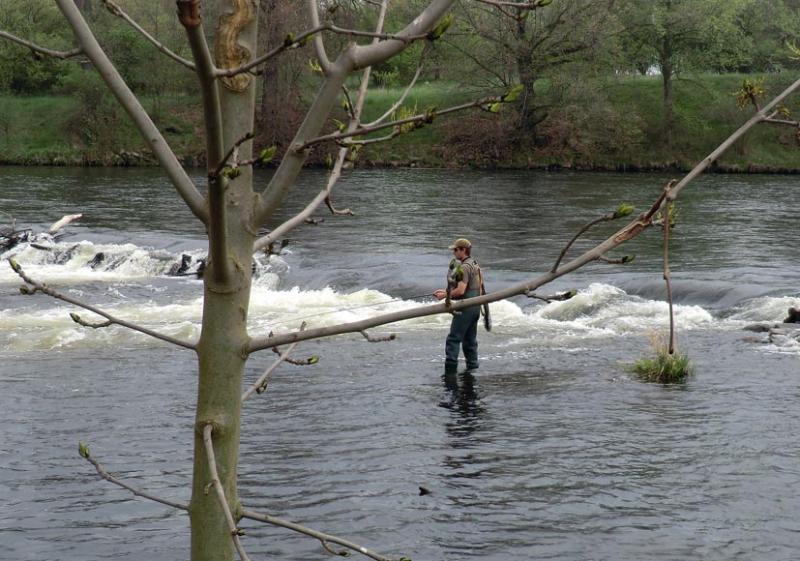 Když vás chytne kouzlo muškaření!