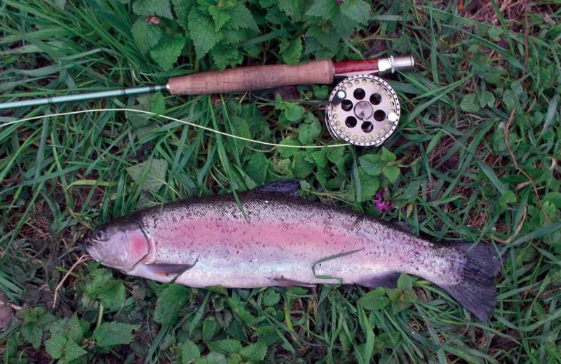 Muškařské vzpomínky II. Ohře 8B úsek Chyť a pusť