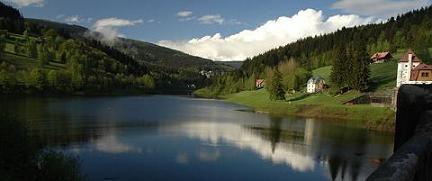 Muškařské vzpomínky VI. "prokletí kolem albínů?"