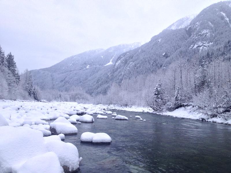 Kanadský deník 2017 / 12 Prosinec / @mdx