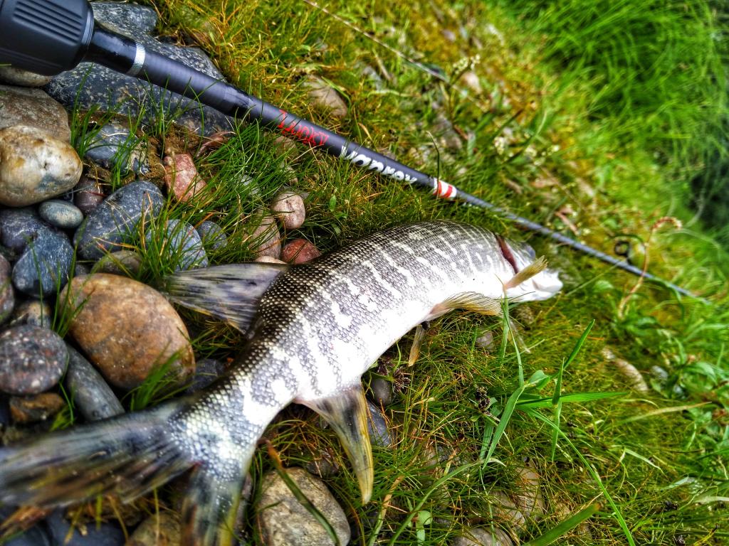 Тест сверх бюджета