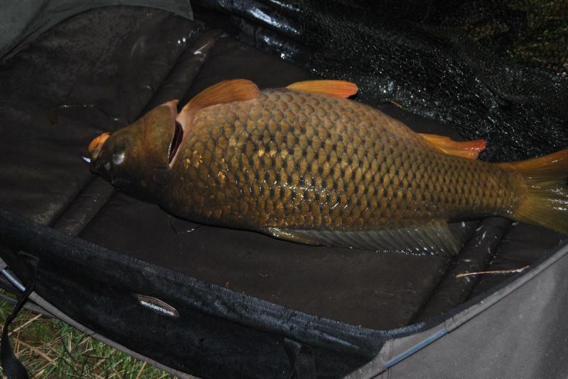 Kaprařina na lehko 1. díl