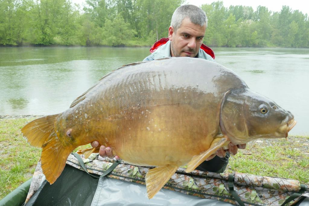 El carpfishing una passion
