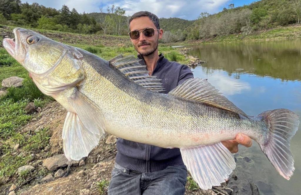 Quand un sandre record remplace le brochet prévu 
