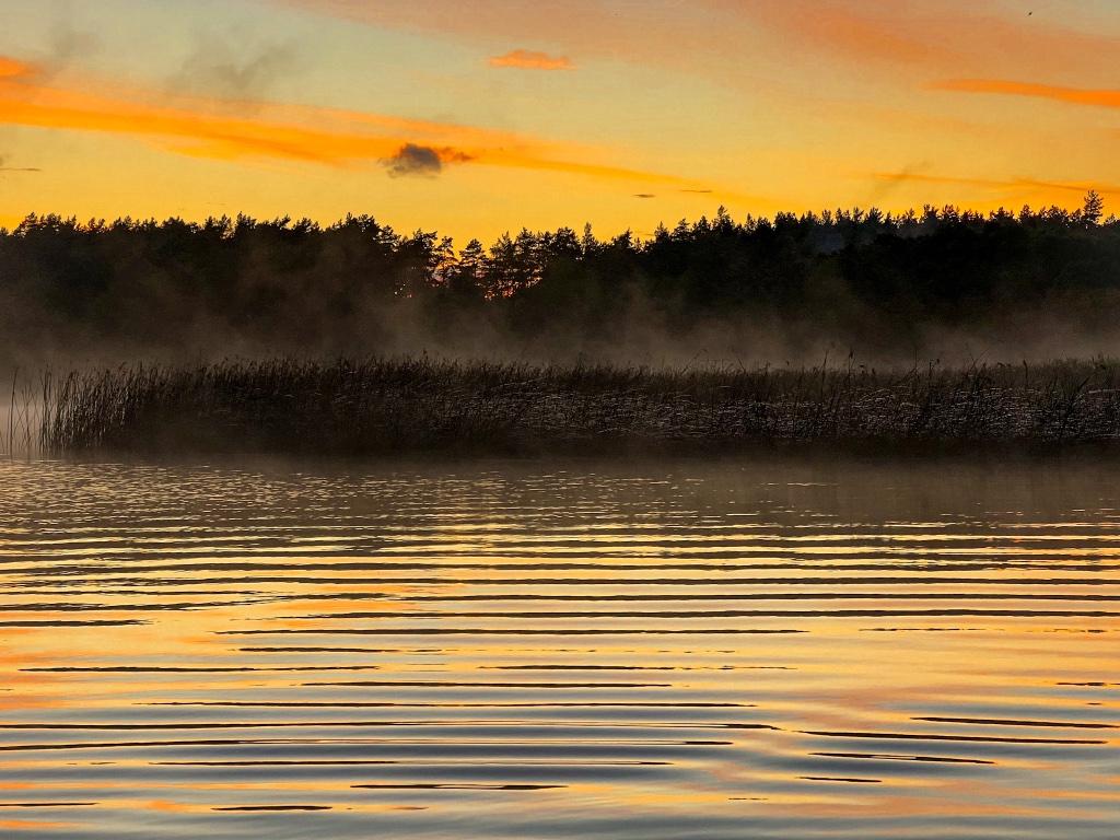 Czy karpie słyszą? 
