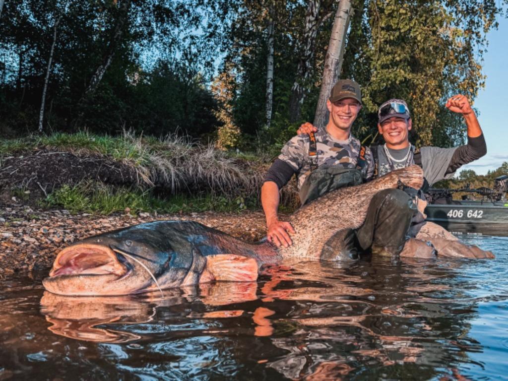 Sumec jako symbol vzpomínek a přátelství