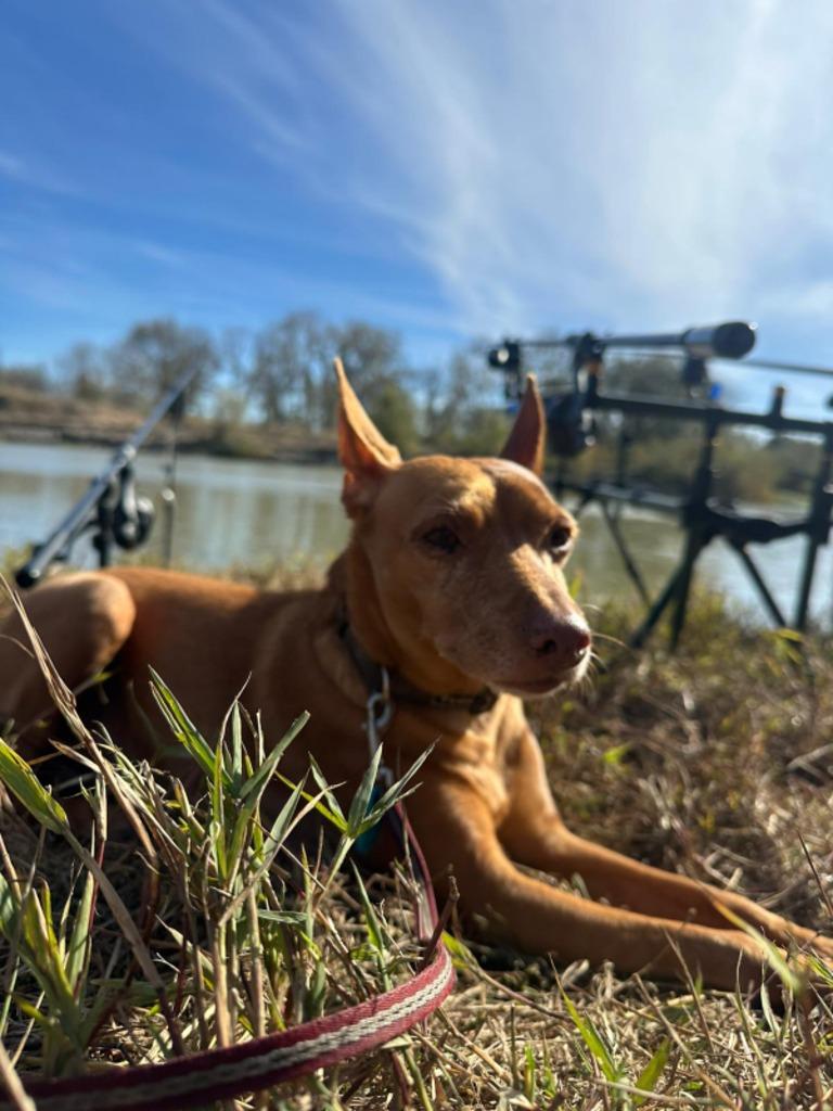 COMIENZA EL INVIERNO 